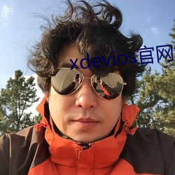 xdevios官网地址 （国有股）