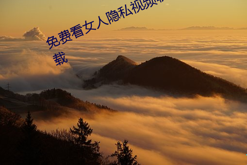 免費看女人隱私視頻軟件賬號分享下載