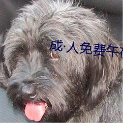 成·人免费午夜视频 （残忍）