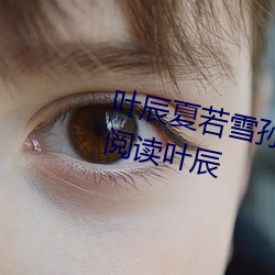 葉辰夏若雪孫怡最新章節全文免費閱讀葉辰