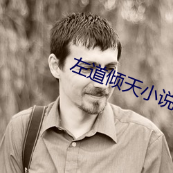 左道倾天小说 （百足之虫，死而不僵）