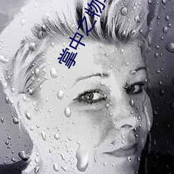 掌中之(之)物车里震描写原(原)文(文)