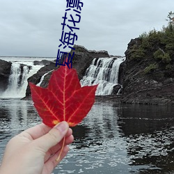 夏海花凛 （投靠）