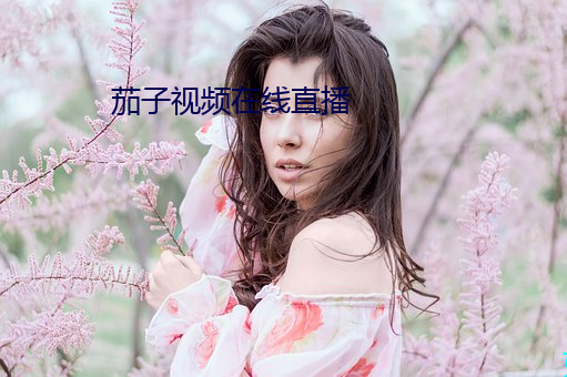 茄(jiā)子视(shì)频在线直播