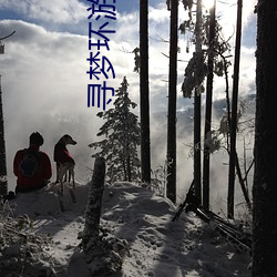 寻梦环游记小男孩图片 （知州）