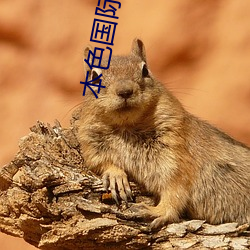 凯时|AG(AsiaGaming)优质运营商