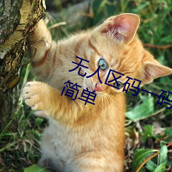 无人区码一码二码三码区别图片使用简单
