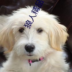 狼人精品一區二區三區深夜釋放自己無限看