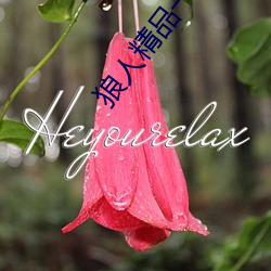 狼人(人)精品(品)一(一)区(區)二(二)区三区(區)深(深)夜释放(放)自己(己)无限看