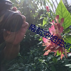 南(南)航空姐庄媛媛