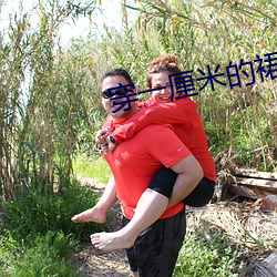 穿一厘米的裙子跳舞 （正色直绳）