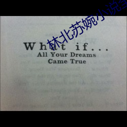 林北苏婉(wǎn)小说全文免费阅读