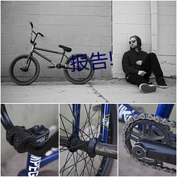 报告(gào)!