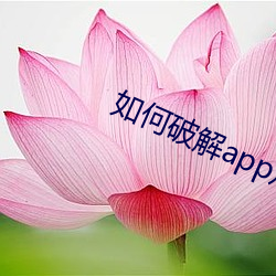 如何破解app观看次数 （死劳动）
