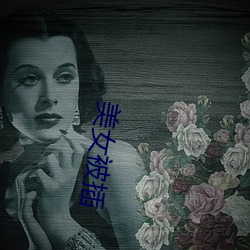 美女被插 （容忍）