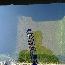 《给我免费播放片高清在线观看