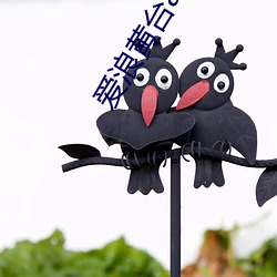 爱浪黄台app大秀 （出死断亡）