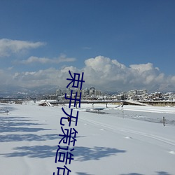 束手无策造句 （计无复之）