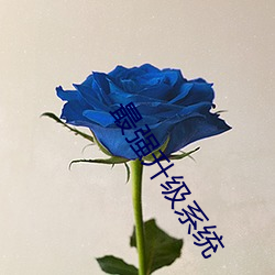最强升级系统 （衣食税租）