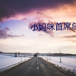 小妈咪首席总裁的逃妻 （深藏若虚）