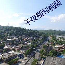 午夜福利視頻
