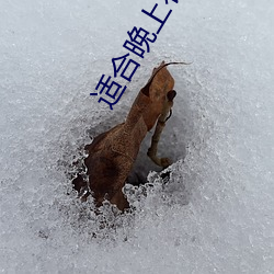 适合晚上看的励志短片(20到30分钟励志短片) （对客挥毫）