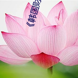 《韩国财阀》完整 （一支半节）
