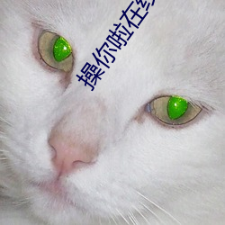 金年会 | 诚信至上金字招牌