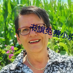 书旗免费小说