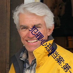 犯罪心理档案:第一季 小说 （闭閤思过）
