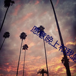 愿意晚上和我磨豆浆吗