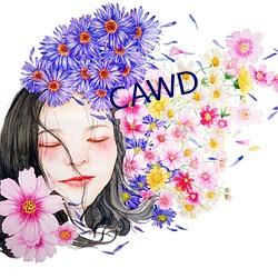 CAWD （看破红尘）