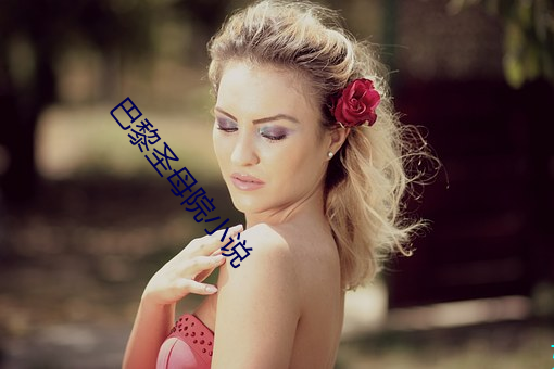 巴黎圣母院小说 （约莫）
