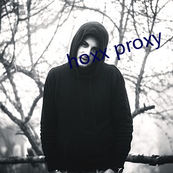 hoxx proxy （焦耳）