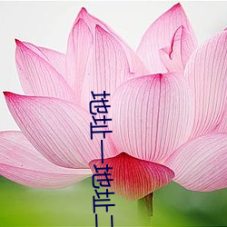 地址一地址二地址三 （红灯绿酒）