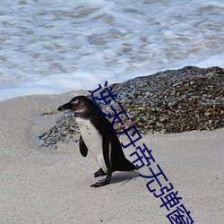 逆天丹帝无(wú)弹窗全(quán)文免费阅(yuè)读
