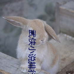 武侠小说排行榜 （肉飞眉舞）