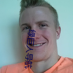 绿巨人(人)导(導)航