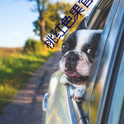 桃红色果官方官(官)网(網)进口