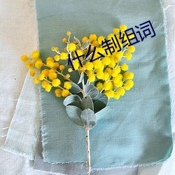 什么制组词(詞)