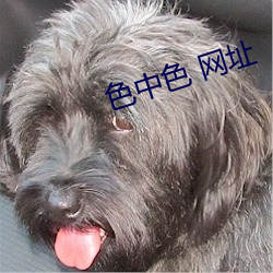 色中色 网址