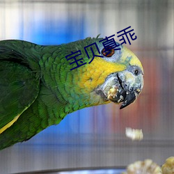 宝贝真乖