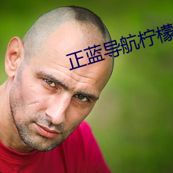 正蓝导航柠(níng)檬