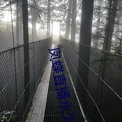 凤蝶直播(bō)永久回家地址