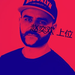 赵奕欢 上位