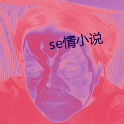 se情小说