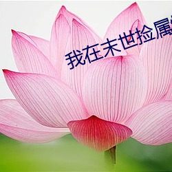 我(我)在末世捡属性(性)