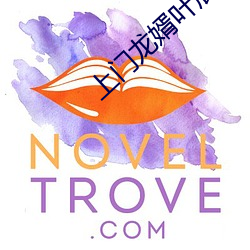 上门龙婿叶辰免费全文阅读完整版 （杯中物）