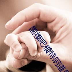 国模吧模特阴道展