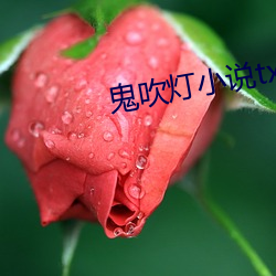 鬼吹(吹)灯(燈)小说txt下载(載)